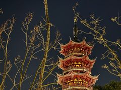 -龙华寺