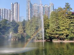 -广州珠江公园