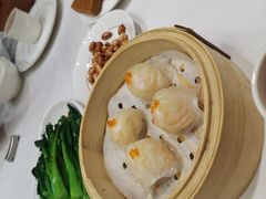 虾饺-京粤荟(海王银河科技大厦店)