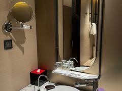 -新加坡瑞士史丹福酒店