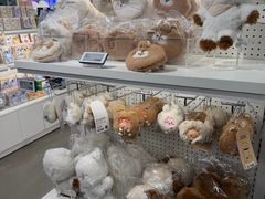 -line friends(明洞旗舰店)