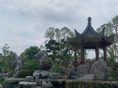 -东莞植物园