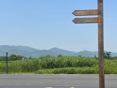 -良渚古城遗址公园