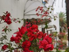 -长江六号法国餐厅(长江南路店)