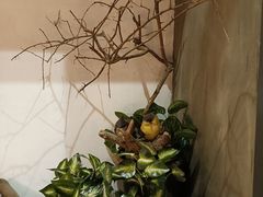 -湘当爱·鲜煮现炒(松岗立业路店)