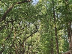 -食膳公园包子铺(烈士公园店)