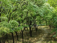 -国家植物园南园