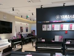 -雅歌音乐培训中心·钢琴培训·乐器培训(交道口店)