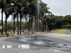 -四海公园(南山区)