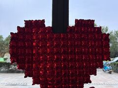 -Dinoo 片场咖啡(酒仙桥店)