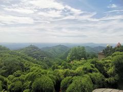 -莫干山风景区