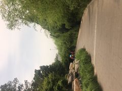 -丰台花园