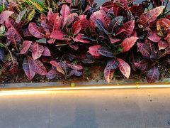 -阿伟海鲜楼·福建菜(涵江店)