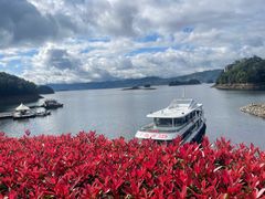 -千岛湖东南湖区