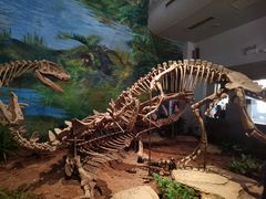 -自贡恐龙博物馆