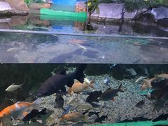 -常州海昌海洋探索馆
