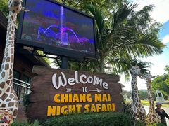 -清迈夜间动物园