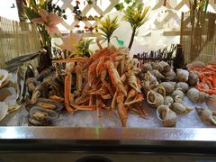 -339旋转餐厅(天府熊猫塔店)