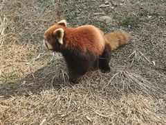-宁波野生动物园