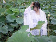 -光明小镇欢乐田园