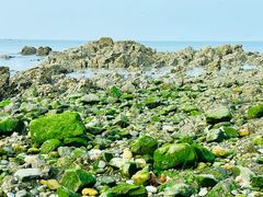 -银沙滩浴场