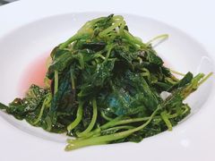 -半山腰·云南菜(侨福芳草地店)
