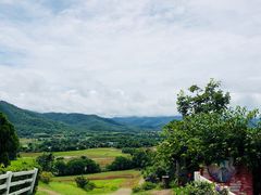 -黄色小屋