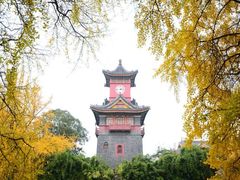 -四川大学(华西校区)