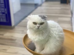 -拜鲁耶动物诊疗中心·宠家动物医院