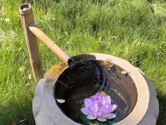 -江阴君山寺