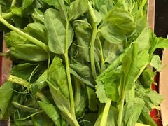 豌豆尖-巴山·烤全羊(高新总店)
