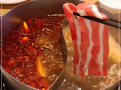 -青瓷火锅料理(西单大悦城店)
