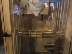 -Mr.Fox狐狸先生超级密室(南山店)
