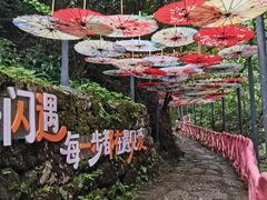 -黄山翡翠谷景区