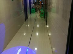 -杨姨妈丝娃娃(花果园店)