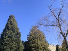 -程府宴(南长街四合院店)