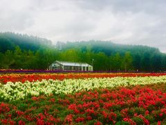 -富田农场