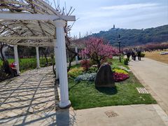 -苏州上方山国家森林公园