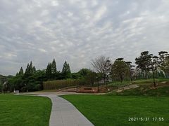 -鲁镇