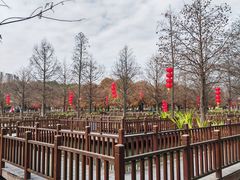 -五缘湾湿地公园