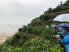 -小皓村