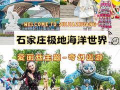 -石家庄极地海洋世界