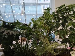 -大树餐厅(红旗街万达店)