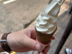 -富豪雪糕车流动点(尖沙咀)