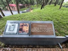 -马王堆汉墓遗址