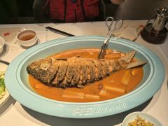 -阿五黄河大鲤鱼(英协路店)