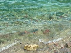 -三亚西岛海洋文化旅游区