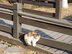 -幕燕滨江·长江观音景区