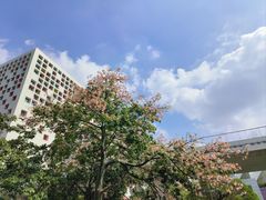 -佛山科学馆