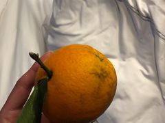 -青岛海尔洲际酒店